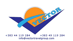 Vector