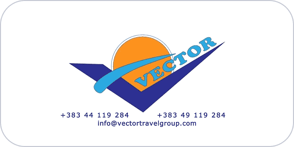 Vector
